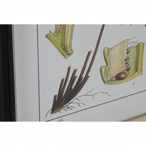 Картина Home ESPRIT современный папоротник-орляк 50 x 2,5 x 65 cm (6 штук) image 3