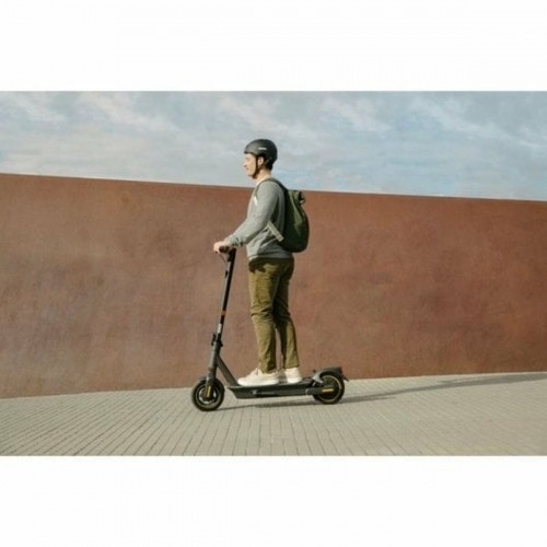 Electric Scooter Segway Grey image 3