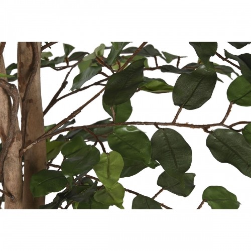 Дерево Home ESPRIT полиэтилен фикус 100 x 100 x 210 cm image 3