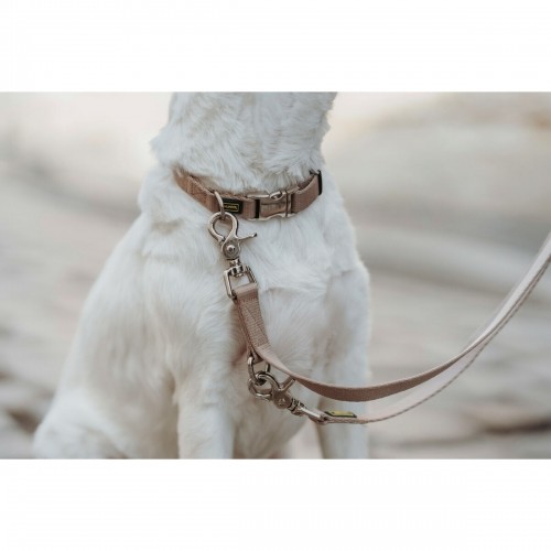 Dog collar Hunter Inari Beige M 30-45 cm image 3