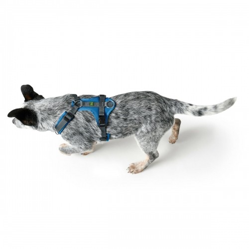 Dog Harness Hunter Maldon Up Blue 50-84 cm image 3
