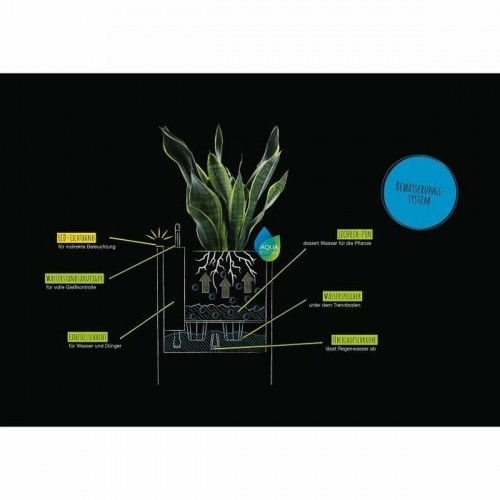Self-watering flowerpot Lechuza Black 30 x 30 cm LED image 3