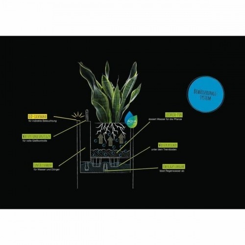 Self-watering flowerpot Lechuza Black 40 x 40 x 56 cm LED image 3