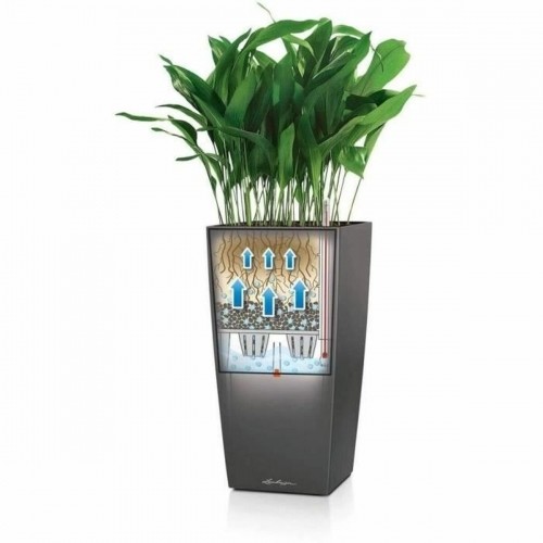 Self-watering flowerpot Lechuza Brown 39,5 x 39,5 x 75,5 cm Plastic Rectangular image 3