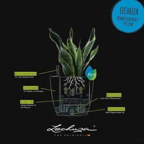 Plant pot Lechuza image 3