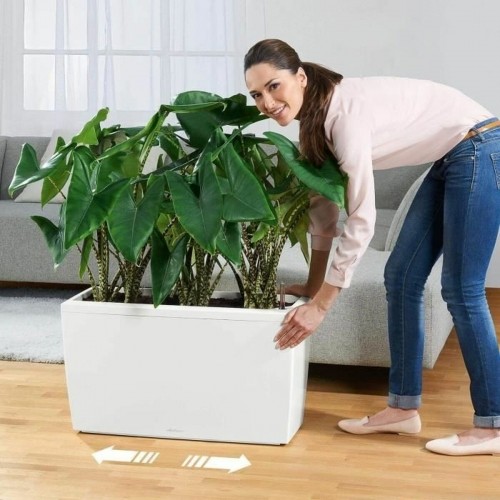 Plant pot Lechuza 75 x 30 x 43 cm Plastic Rectangular image 3