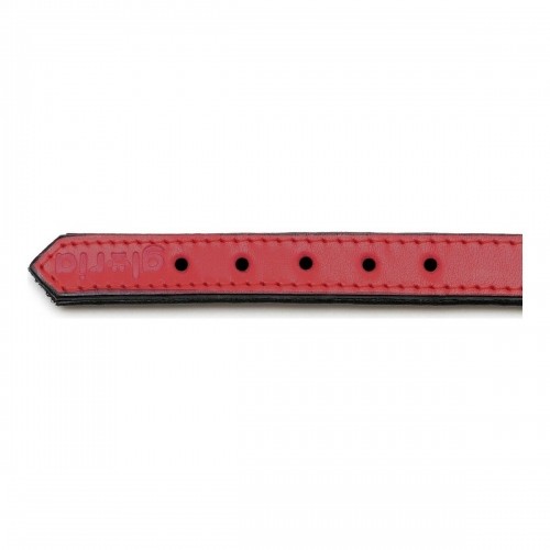 Dog collar Gloria Padded Red (35 x 1,5 cm) image 3