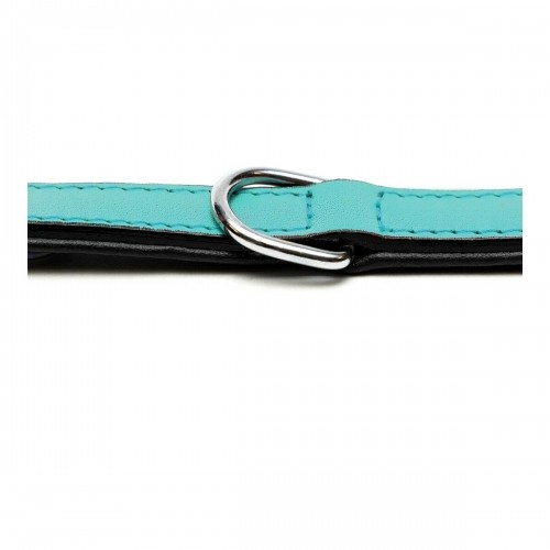 Dog collar Gloria Padded Turquoise 45 cm (45 x 2 cm) image 3