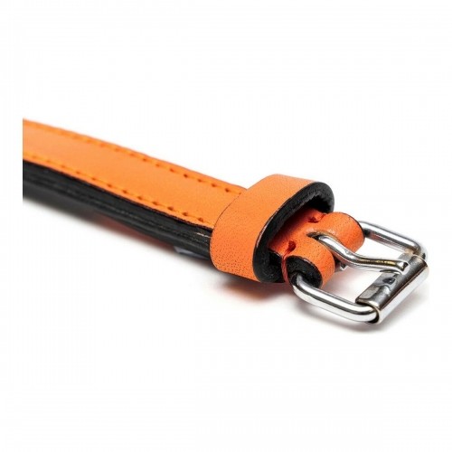 Dog collar Gloria Padded Orange (40 x 2 cm) image 3