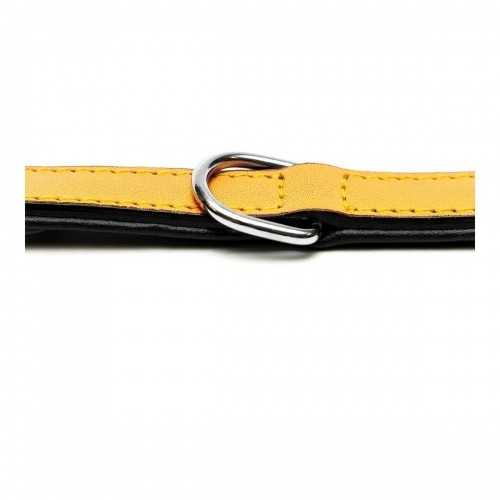 Dog collar Gloria Padded Yellow (40 x 2 cm) image 3