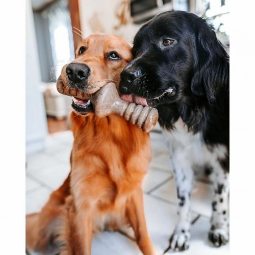 Прорезыватель для зубов для собак Benebone Коричневый Животные image 3