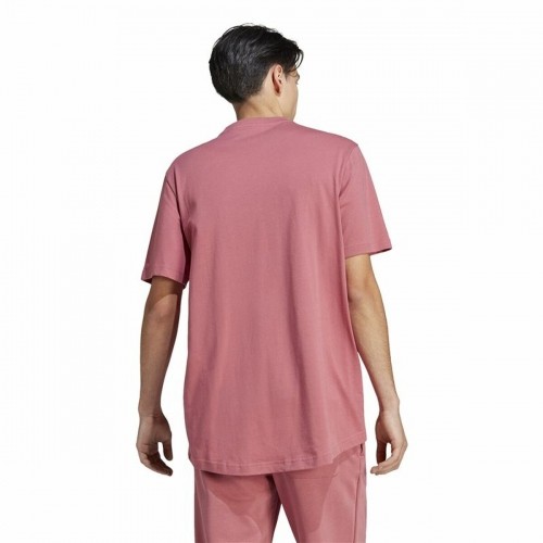 Vīriešu Krekls ar Īsām Piedurknēm Adidas All Szn Rozā image 3