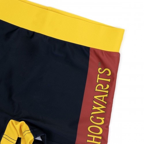плавки-шорты для мальчиков Harry Potter Разноцветный image 3