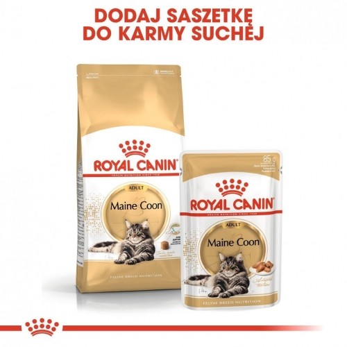 ROYAL CANIN Maine Coon Adult - wet cat food - 12 x 85g image 3