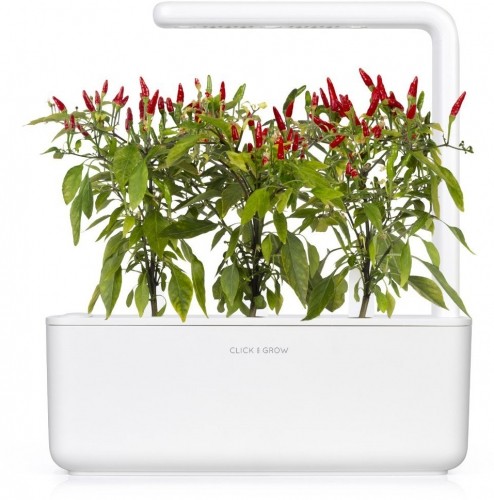 Click & Grow Smart Garden refill Piri Piri Chili Pepper 3pcs image 4