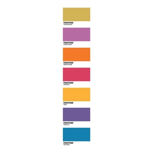 Gultas pārklājs (sega) Fun Deck Pantone image 4