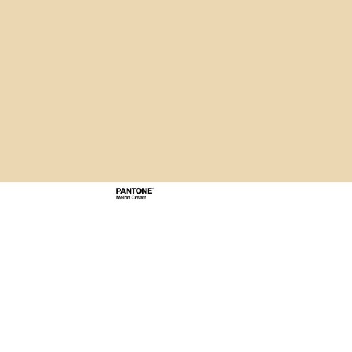 Пододеяльник Pantone Melon Cream (150 кровать) image 4