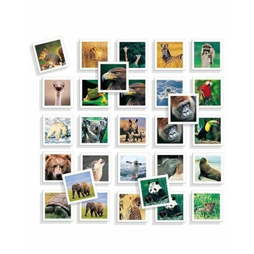 Educational Game Diset Memo Photo Animales 54 Pieces image 4