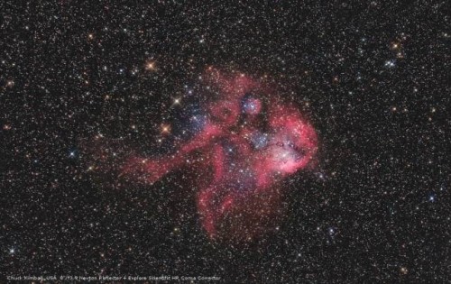 BRESSER Messier NT-203s/800 EXOS-2/EQ5 image 4