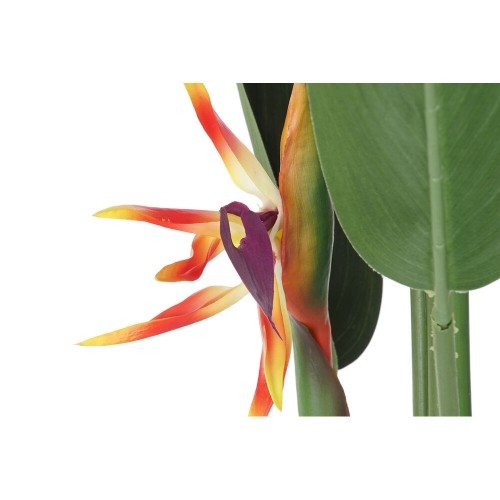 Decorative Plant DKD Home Decor 75 x 75 x 180 cm Orange Green Yellow polypropylene Bird of paradise image 4