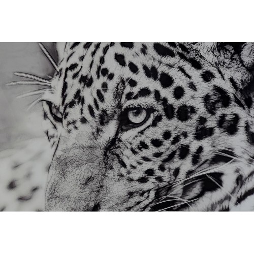 Glezna DKD Home Decor Leoparda Koloniāls (100 x 2,5 x 100 cm) (2 gb.) image 4