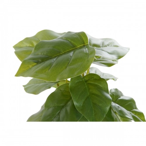 Dekoratīvs Augs DKD Home Decor Melns Zaļš PVC PP (20 x 20 x 30 cm) image 4