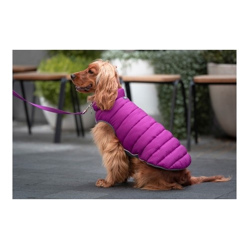 Dog Coat Red Dingo Puffer Pink/Purple 30 cm image 4