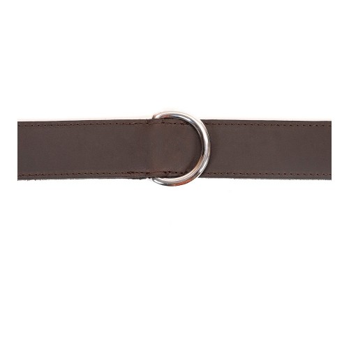 Dog collar Gloria Brown 60 cm (60 x 4 cm) image 4