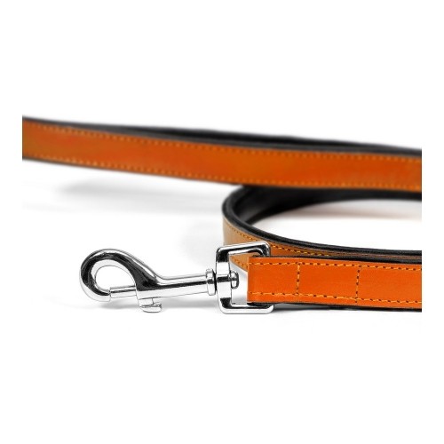 Dog Lead Gloria 1.8 x 100 cm Orange image 4