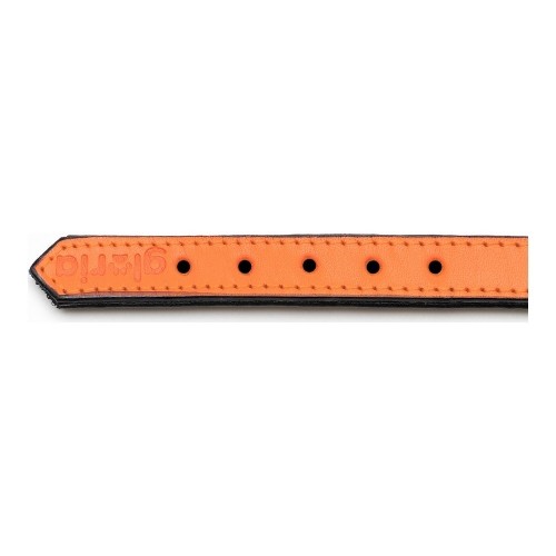 Dog collar Gloria Padded Orange (55 x 2,5 cm) image 4