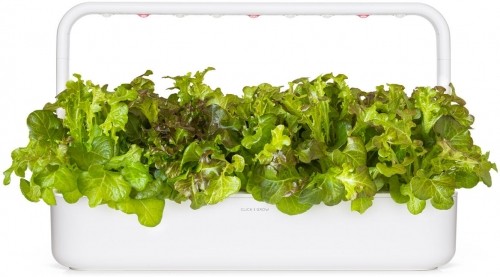Click & Grow Smart Refill Красный салат оаклиф 3 шт. image 4