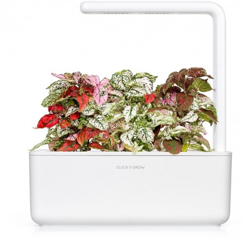 Click & Grow Smart Garden uzpilde Hipoeste 3gb. image 4