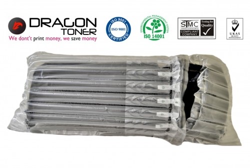 Epson DRAGON-TE-C13T01D300 (XXL) image 4