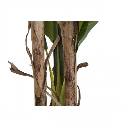 Декоративное растение DKD Home Decor Банан (90 x 90 x 250 cm) image 4