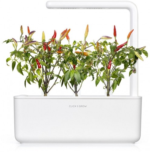 Click & Grow Smart Garden refill Красный острый перец 3 шт image 4