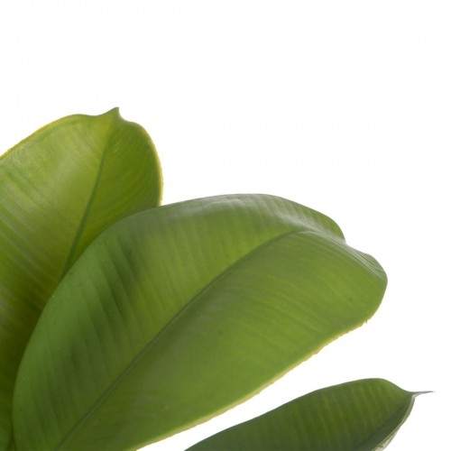 Bigbuy Home Декоративное растение Зеленый PVC Дуб 58 cm image 4