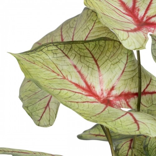 Bigbuy Home Декоративное растение Красный Зеленый PVC 40 x 35 x 55 cm image 4
