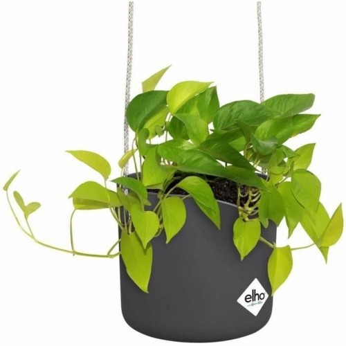 Подвесной горшок для растений Elho   Чёрный Круглая Антрацитный Пластик Ø 18 cm image 4
