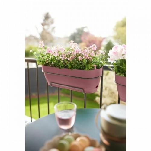 Наружный ящик для растений Elho   50 cm Прямоугольный Розовый Пластик image 4