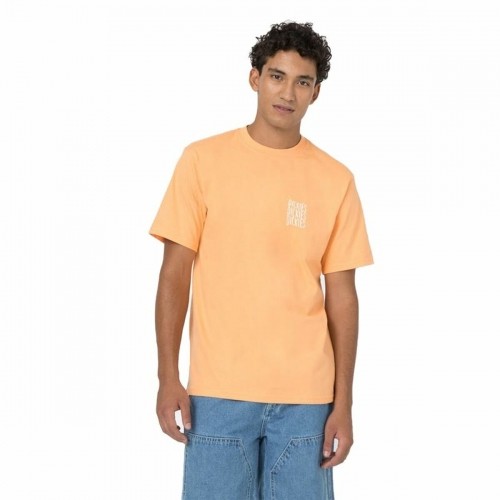 Short Sleeve T-Shirt Dickies Creswell Orange Men image 4