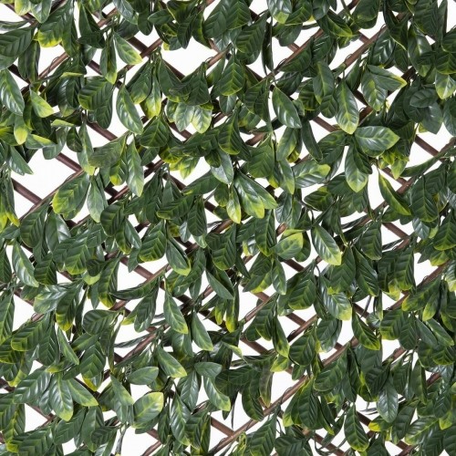 Bigbuy Garden Režģis Natural Laurel pīts Bambuss 2 x 200 x 100 cm image 4