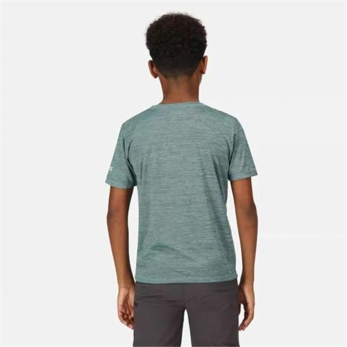 Children’s Short Sleeve T-Shirt Regatta Alvarado VII Ivymossmarl Blue image 4