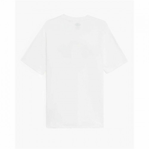 Short Sleeve T-Shirt Dickies Icon Logo White Unisex image 4