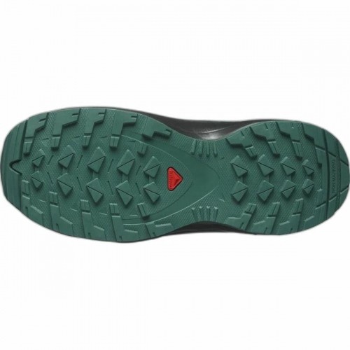 Женские спортивные кроссовки Salomon XA Pro V8 гора Зеленый image 4