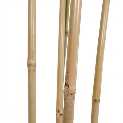 Tree Home ESPRIT Polyester Bamboo 80 x 80 x 180 cm image 4