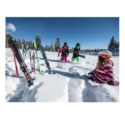 Elan Skis Sky Jrs JS EL 4.5/7.5 GW / 150 cm image 4