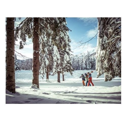 Elan Skis Wingman 86 TI FX Pro 11.0 GW / 178 cm image 4