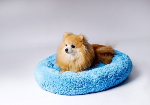 GO GIFT Shaggy blue L - pet bed - 66 x 66 x 10 cm image 4