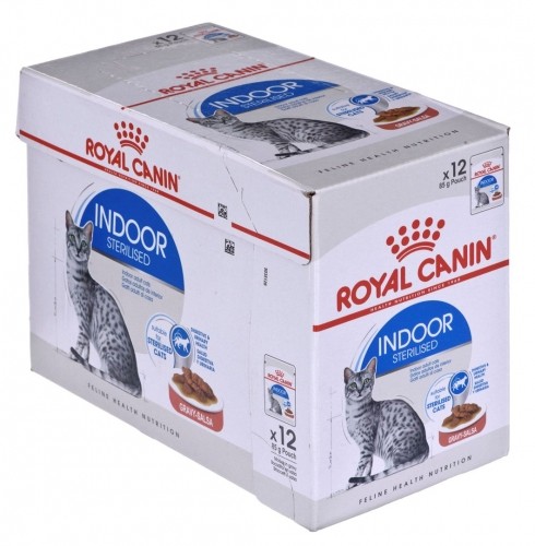 ROYAL CANIN FHN Indoor jelly - wet food for adult cats - 12x85g image 4