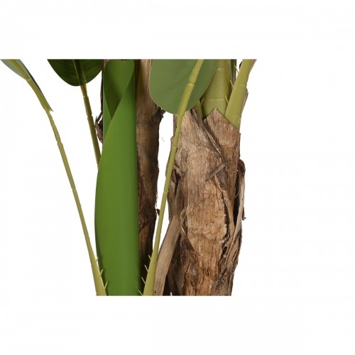 Декоративное растение Home ESPRIT полиэтилен Цемент Банан 90 x 90 x 290 cm image 4